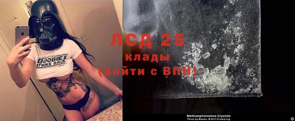 прущие крисы Нефтекумск