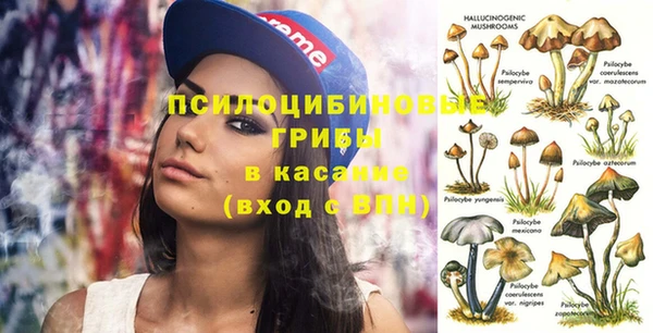 прущие крисы Нефтекумск